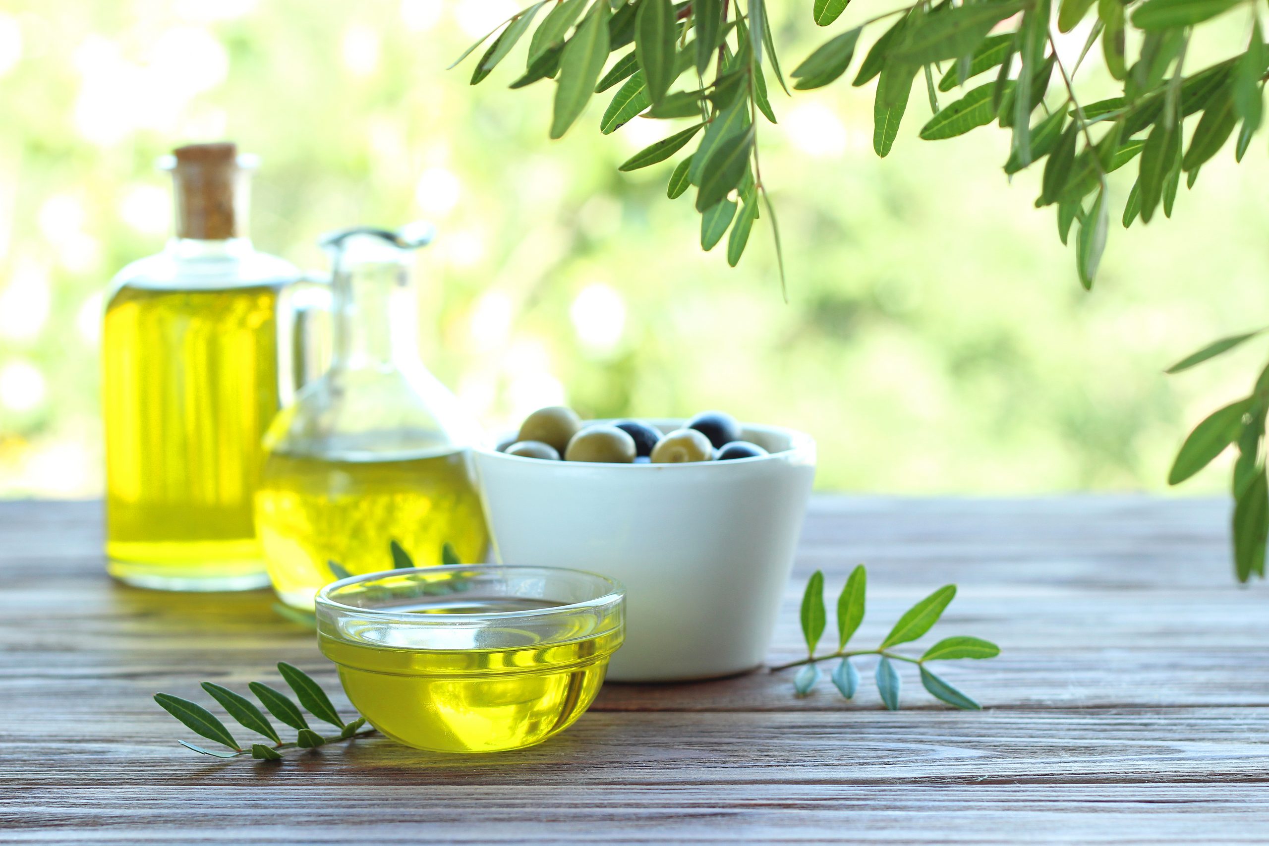 The history of olive oil in Greece Demargia Villa and Loft Apartments